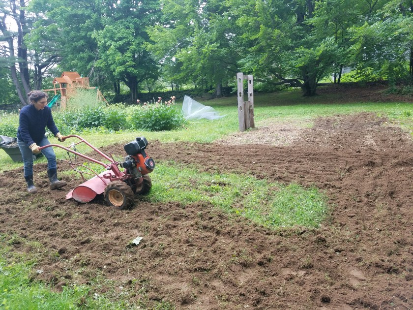 Melissa and the 47 year old rototiller.jpg