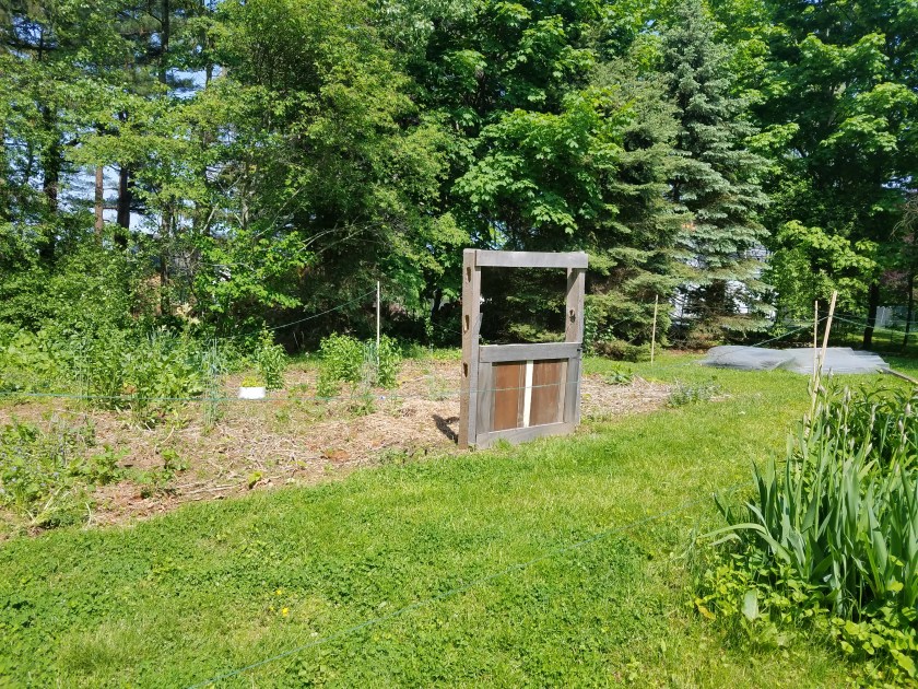 Stringing the new garden.jpg