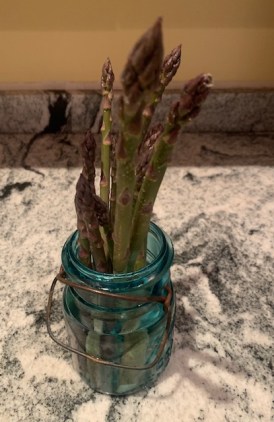 First Asparagus 2019