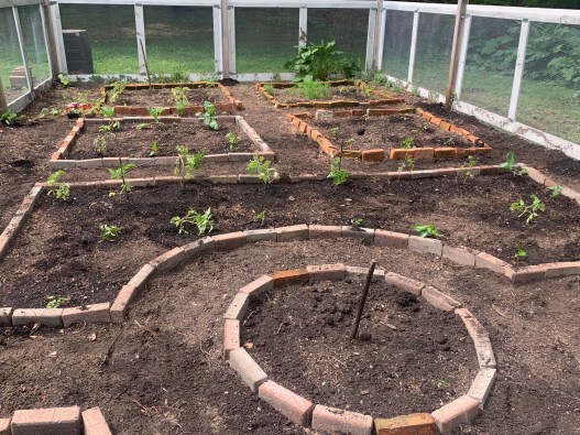 The garden with 5 beds planted